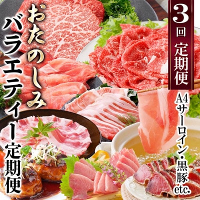 定期便(3回配送)　お楽しみバラエティー定期便 LL−6017【配送不可地域：離島】【1499420】