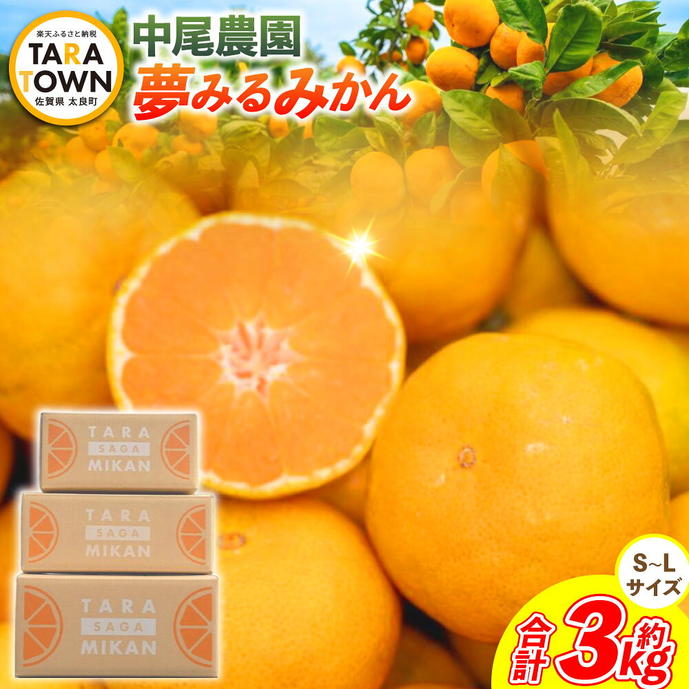 【ふるさと納税】O167x1 中尾農園の夢みるみかん（S-L）3kg 夢みるみかん 温州みかん 早生 温州 みかん ミカン 蜜柑 温州蜜柑 温州ミカン フルーツ くだもの 果物 ミネラル豊富 国産 贈答用 太良町 温州みかん 夢見るみかん 【2026年10月中旬~2027年1月下旬発送予定】