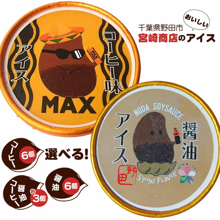 【ふるさと納税】No.154 【宮崎商店】野田市名産アイス 選べる2種類の味！　醤油味・コーヒー味 ／ アイスクリーム 珈琲 送料無料 千葉県