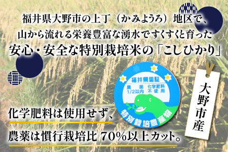 【先行予約】【令和8年産 新米】【5ヶ月定期便】ベストファーマー ほたるの里 特別栽培こしひかり 6kg（2kg×3） × 5回 計30kg 化学肥料不使用 農薬70％以上カット[J-002003]