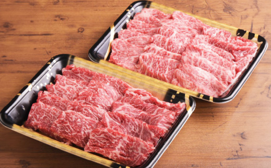 おおいた和牛カルビ・ロース焼肉セット(合計約500g)