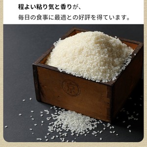 米 京都丹波・亀岡産こしひかり 5kg 精米 白米
