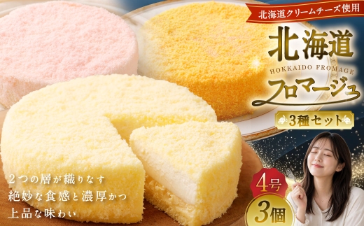北海道フロマージュ 3種セット （プレーン ・ アップル ・ メロン） 約1.05kg （約350g×3個） 3種類 林檎 りんご リンゴ フロマージュ クリームチーズ ケーキ 洋菓子 菓子 お菓子 セット 北海道 小樽市 冷凍