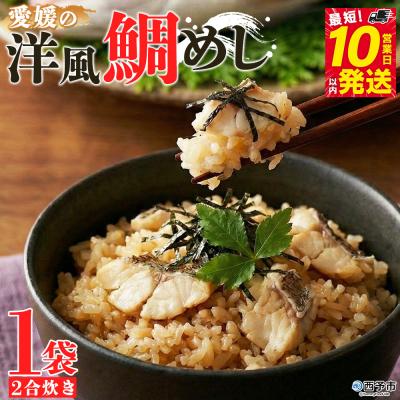 ふるさと納税 西予市 <愛媛の洋風鯛めしセット>『最短10営業日以内に順次発送予定』えひめ　愛媛