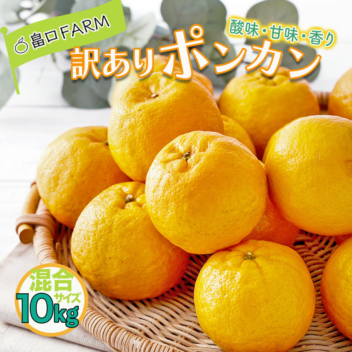 【ふるさと納税】 ＜先行予約＞訳ありポンカン サイズ混合【10kg】 国産 東洋町産 訳アリ オレンジ 蜜柑 ミカン 果物 フルーツ 甘い 酸味 ジューシー 果肉 高知県 四国 お取り寄せ 家庭用 自宅用 大容量 送料無料 H-08