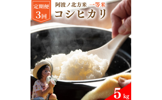 【 定期便 5kg × 3回 】 コシヒカリ 令和7年産 阿波ノ北方米 毎月 1回 1等 米 こめ ご飯 ごはん おにぎり 白米 精米 卵かけご飯 食品 備蓄 備蓄米 保存 防災 ギフト 贈答 プレゼント お取り寄せ グルメ 送料無料 徳島県 阿波市 阿波ノ北方農園
