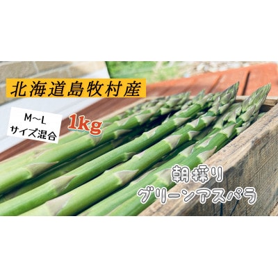 【先行予約】島牧村産露地栽培アスパラガス　1kg(M〜Lサイズ混合)【2026年5月上旬〜発送予定】【配送不可地域：離島】【1704919】