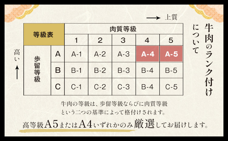 黒毛和牛 くまもと黒毛和牛 A4-A5等級 霜降り すき焼き しゃぶしゃぶ スライス 600g 牛肉《3-7日以内に出荷予定(土日祝除く)》