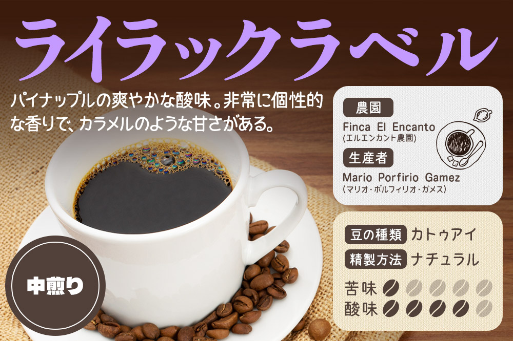 《定期便2ヶ月》コーヒー豆 自家焙煎 ホンジュラス スペシャルティコーヒー 焙煎豆 200g×1パック 細挽き【ライラック】