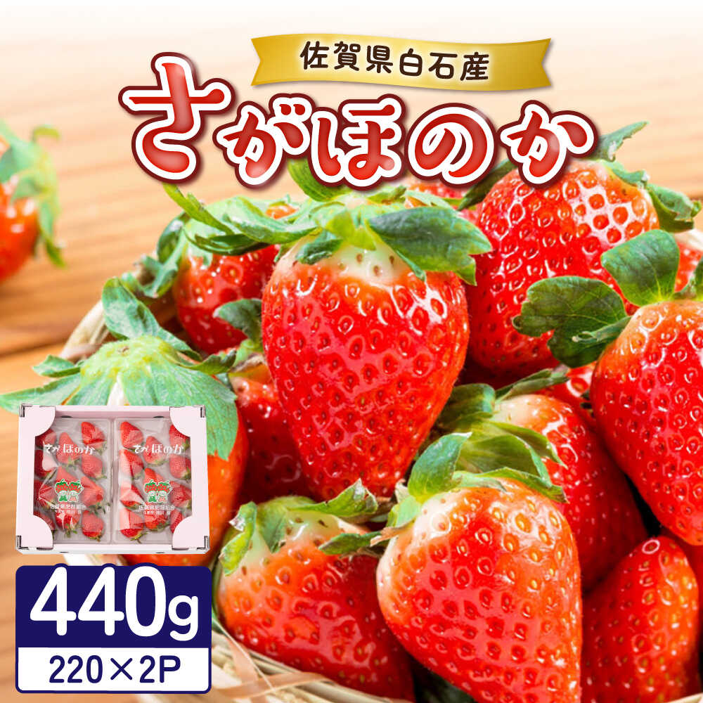 【ふるさと納税】【先行予約】白石産いちご「さがほのか」 220g×2パック / いちご イチゴ 苺 果物 フルーツ / 佐賀県 / 岸川農園[41ASAG010]