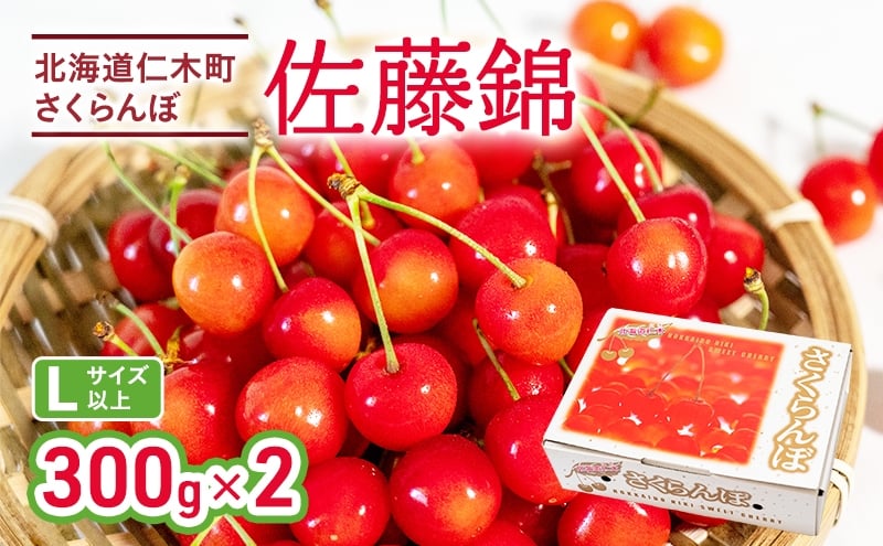 仁木 さくらんぼ 佐藤錦 300g×2