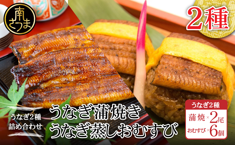 【鹿児島県産 鰻】うなぎ専門店「万のせ」 うなぎ蒲焼 2尾（手焼き）とおむすび 6個セット 詰め合わせ ギフト 贈答品 鹿児島県産 鹿児島うなぎ 手焼き 鰻 蒲焼き ウナギ うなぎ蒸しおむすび 土用の丑 丑の日