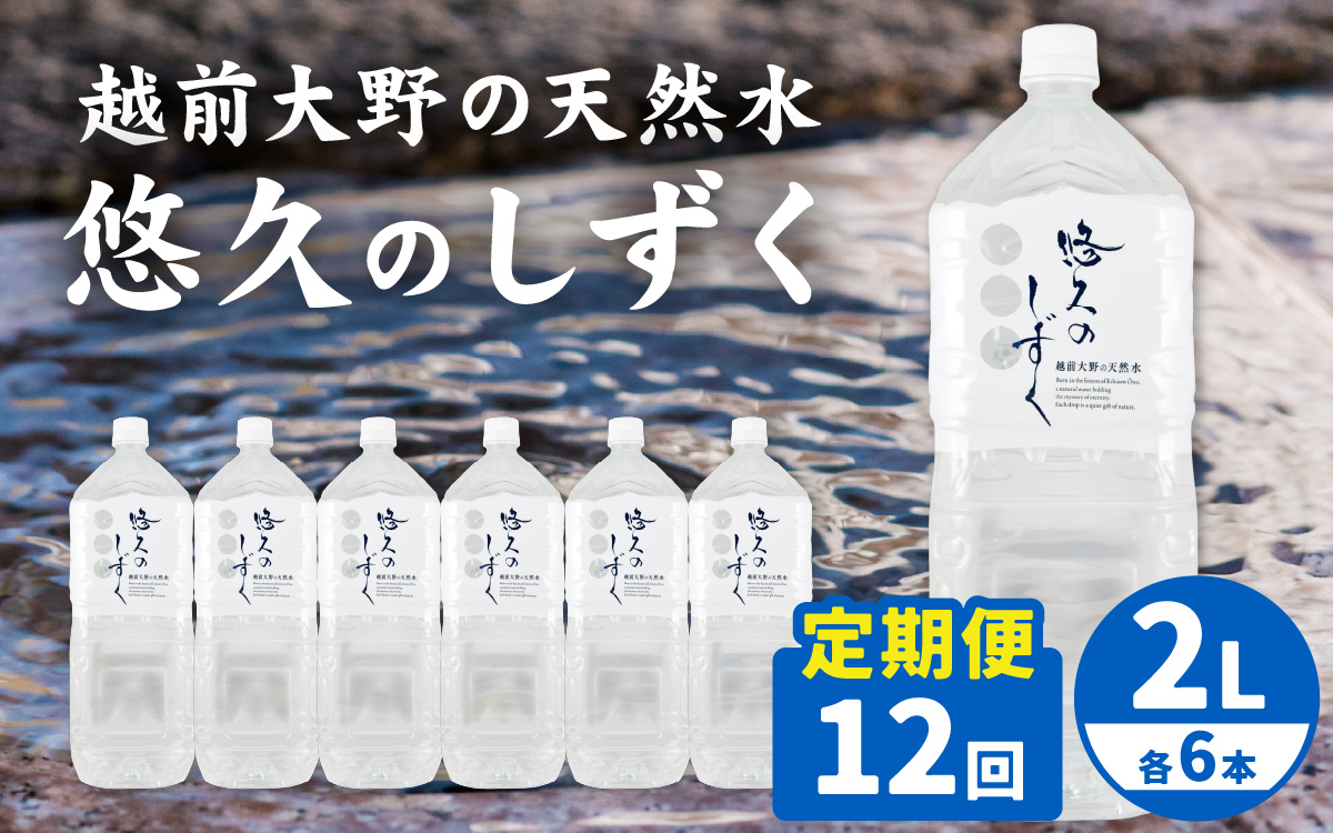 【12ヶ月連続お届け】越前大野の天然水　悠久のしずく 2L 6本 計72本[H-036001]