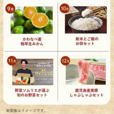 ふるさと納税 南九州市 【全12回】毎月『旬』が届く!道の駅川辺やすらぎの郷 月替わりお楽しみ特産品定期便 |  | 03