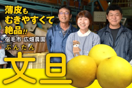 広畑農園 土佐文旦 5kg 家庭用 文旦