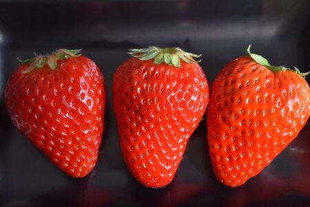 《2026年産先行予約》「西脇市産 佐藤果実工房のよつぼし」（約270g×２パック 約540g）【佐藤果実工房 全国いちご選手権銀賞受賞農園 TVで紹介!】令和８年２月上旬配送分（07-45）