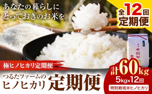 【12回定期便】つるたファームのヒノヒカリ定期便 極ヒノヒカリ定期便 特別栽培米 ヒノヒカリ 5kg 株式会社七城の恵み《申込月の翌月から出荷開始》熊本県 菊池市 米 ひのひかり 定期便 つるたファーム