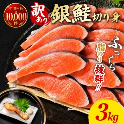 ふるさと納税 小松島市 訳あり 銀鮭 切り身 3kg 冷凍 【北海道・沖縄・離島配送不可】