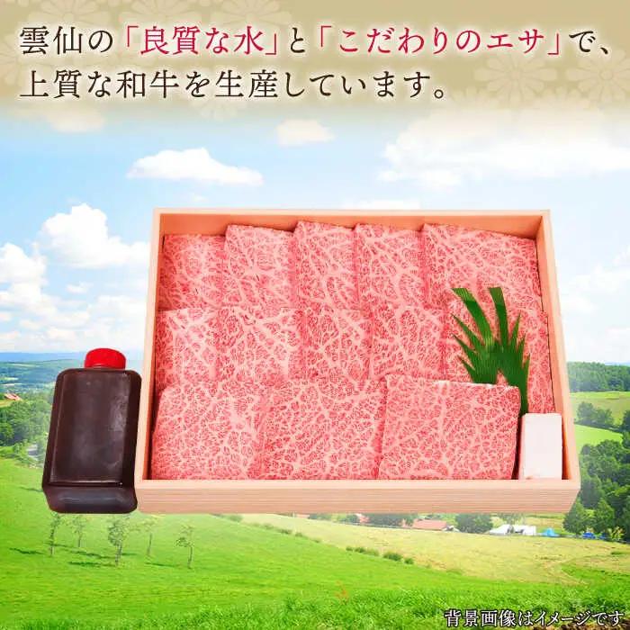 長崎和牛 特上ロース (ミニステーキ) 約700g [QBI002] 牛肉 焼肉 ステーキ 牛肉 焼肉 ステーキ