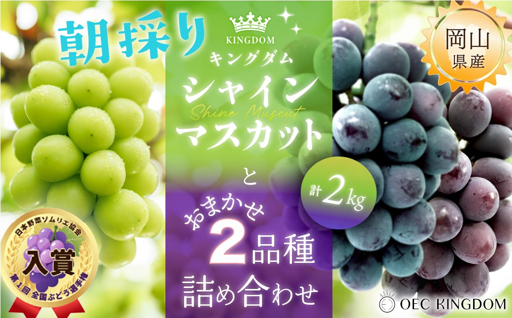 
                  ぶどう 2026年 先行予約 シャインマスカット と おまかせ 2品種 詰め合わせ 合計2kg ブドウ 葡萄 岡山県産 国産 フルーツ 果物 ギフト OEC KINGDOM ぶどう家 果物類
                