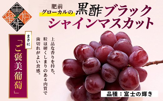 訳あり ブラック シャインマスカット 富士の輝き 1房 700g以上 かねひろ 黒酢【先行予約】【2026年8月下旬～9月下旬発送予定】糖度20～25度 甘くてびっくり！ お試し 家庭用 フルーツ 果