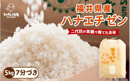 【令和7年産】ハナエチゼン 5kg 華越前 ～坂井市三国町産・こだわりの精米対応～（7分づき） [A-0264_02]