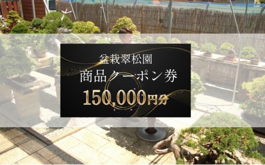 
            盆栽 翠松園 商品クーポン券 150,000円分 植物 観葉植物 園芸 商品券 兵庫県
          