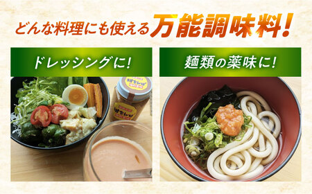 柑なんば 150g×3 福井県小浜名産 獅子ゆず 万能調味料 ご飯のお供 かんなんば / 米麹 唐辛子使用 ピリ辛柚子みそ 小浜市 / タカノ[BFEF009]