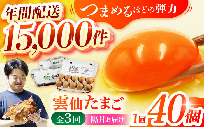 
【隔月3回定期便】 雲仙たまご 40個(10個入り×4パック) 長崎県/塚ちゃん雲仙たまご村 [42ACAE041]
