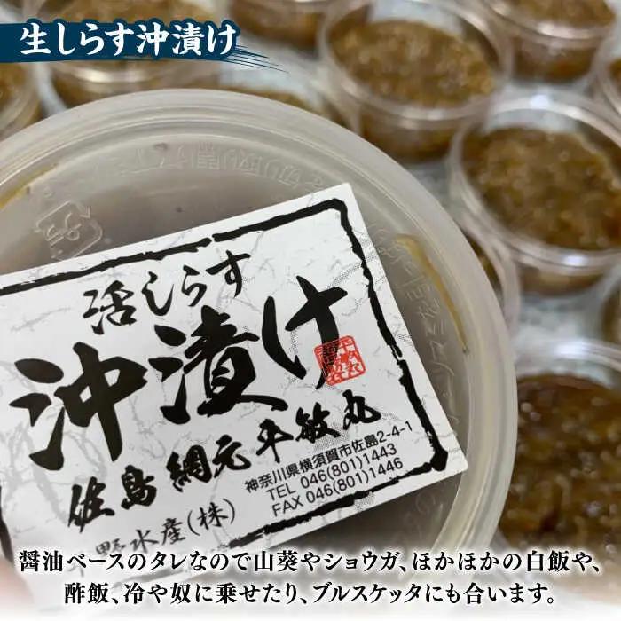 【全3回定期便】 海の幸セット（沖漬け×1・ふりかけ×1・湘南しらす×3）【平敏丸】 [AKEZ018]