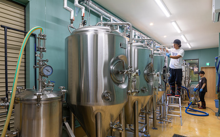 つくばブルワリー クラフトビール12本セット【 飲み比べ クラフトビール ビール お酒 酒 麦酒 IPA 缶 ビール 麦芽 ビール ホップ ビール 茨城県 つくば市 ビール 】