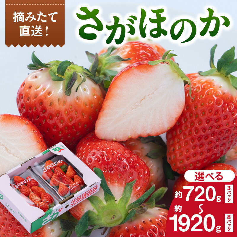 【ふるさと納税】佐賀産 さがほのか ＜内容量が選べる／3パック ・4パック・8パック＞ 【 果物 フルーツ いちご 苺 先行予約 ふるさと納税 果物 】