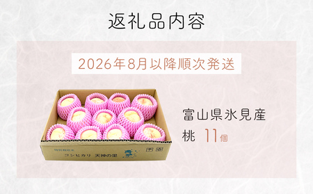 ＜先行受付＞富山県産 桃 11個 ＜2026年8月以降順次発送＞ もも 果物 産地直送 期間限定　富山県 氷見市