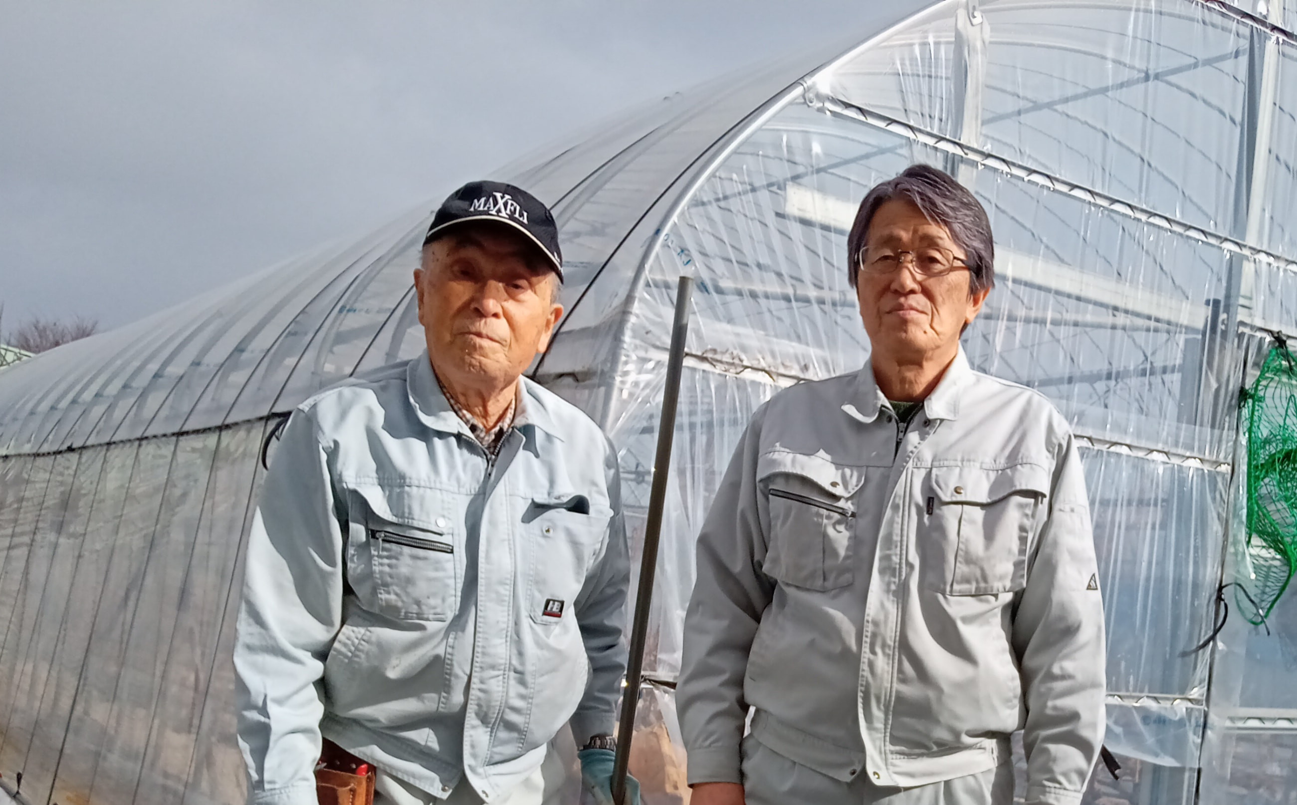赤いシャインマスカット「クイーンセブン」を育てる副島さん父子