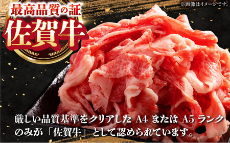 【全12回定期便】日常に贅沢をプラス 佐賀牛セット 【肉の三栄】ステーキ ハンバーグ ローストビーフ[HAA075] 佐賀牛 牛肉 ステーキ 佐賀牛 牛肉 焼肉 佐賀牛 牛肉 ハンバーグ 佐賀牛 牛肉