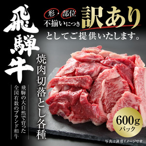 訳あり 飛騨牛 焼肉 切り落とし 600g 冷凍真空パック | 肉 お肉 切落し 不揃い 焼肉 焼き肉 やきにく 黒毛和牛 和牛 人気 おすすめ 牛肉 ギフト お取り寄せ 7日以内お届け[S842]