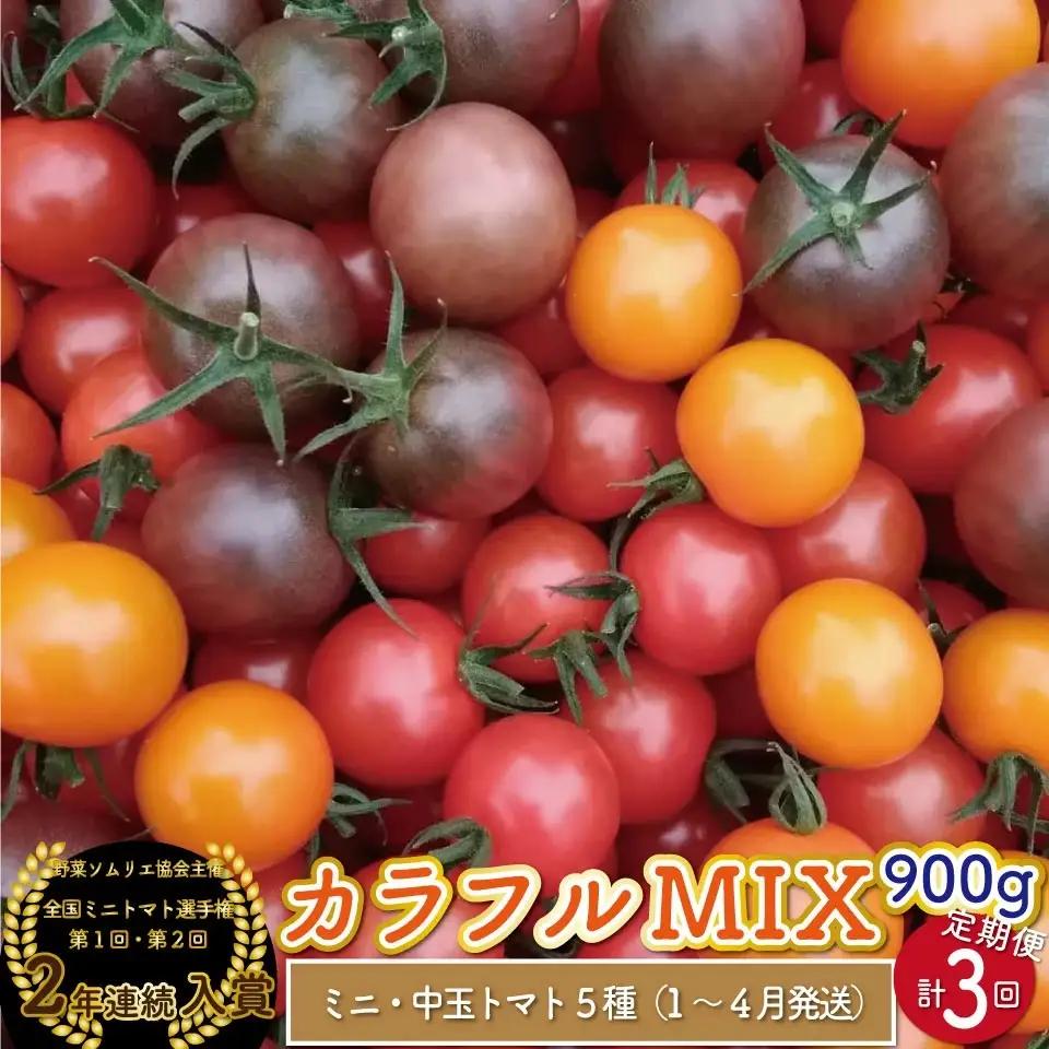【2027年1月～4月頃発送】＜約900g×3回 定期便 ＞カラフルトマト アイメック トマト 5種 MIX フルティカ ＞ましまファーム ミニトマト フルーツトマト 糖度訳あり