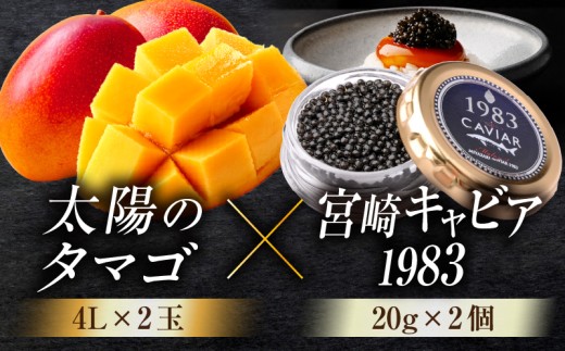 《2026年発送》【数量・期間限定】宮崎のグルメセット 太陽のタマゴ(4L×2玉)＆宮崎キャビア1983(20g×2個)_M017-T062-02-2-F
