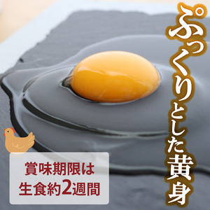 土佐ジローの卵・焼き菓子セット・Ｂ