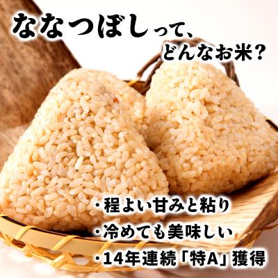 ふるさと納税 岩見沢市 令和7年産!岩見沢産 特別栽培米 峯さんの「ななつぼし」玄米5kg |  | 02