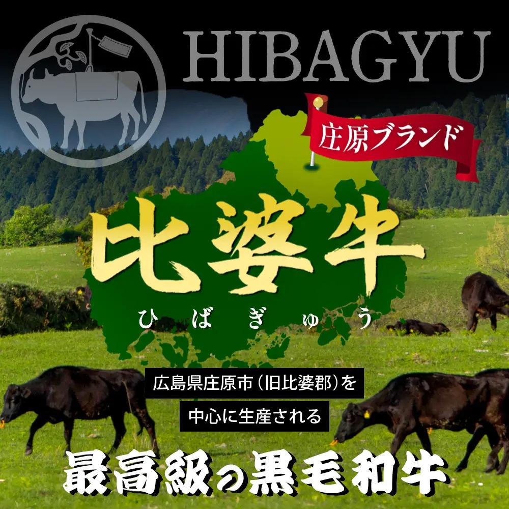 比婆牛 焼肉用 肩ロース 600g 焼肉セット