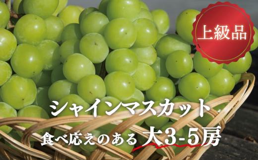 KF-B072-01【きよとうファーム】シャインマスカット 上級品 大3-5房/計2.4kg~ (岡山県産)