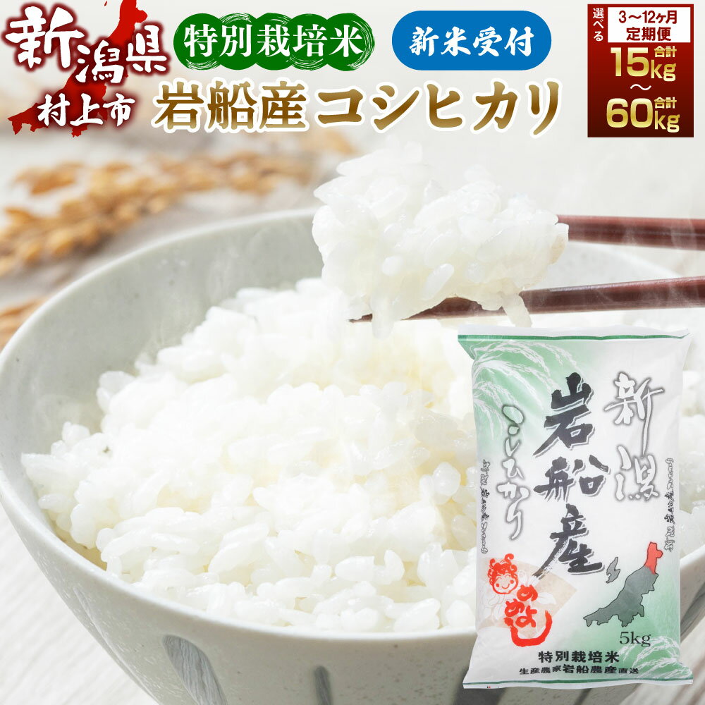 【ふるさと納税】【新米受付・令和8年産米】【定期便】【お届け回数が選べる】 特別栽培米 新潟県 村上市 岩船米 コシヒカリ 5kg ×3ヶ月・6ヶ月・12ヶ月 お米 精米 白米 ご飯 ごはん 毎月 村上市 1013011N 1013012N 1013013N