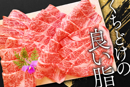 F-955 まつなが和牛を食べつくそう！定期便6回コース