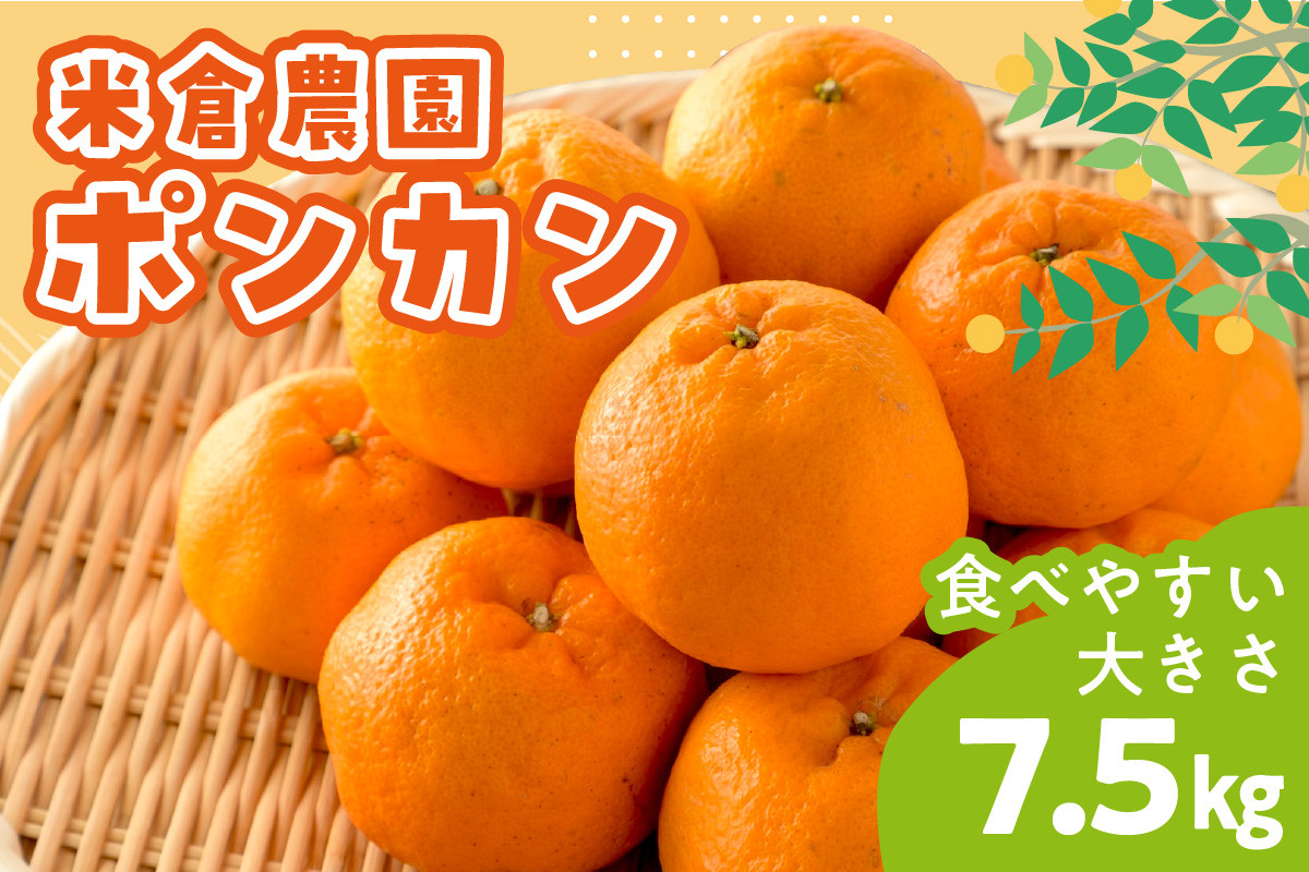 
                  ポンカン 7.5キロ《先行予約2027年1月中旬頃より順次発送予定》
                