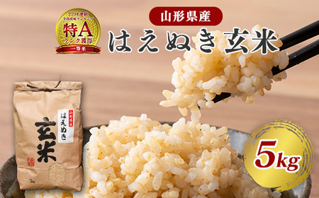 《先行予約》【令和8年産】はえぬき 玄米 5kg（5kg×1袋）2026年産 山形県産　【2026年9月下旬頃より発送予定】　012-C-JF039-R8