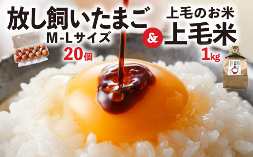 放し飼いたまご「かぐやひめ」20個＆米1㎏【福岡上毛町産】　C01906