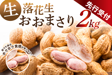【先行受付 2025年8月下旬～9月下旬発送予定】南房総市産 生落花生おおまさり 2kg mi0117-0001 落花生 おおまさり ﾋﾟｰﾅｯﾂ 甘み ﾎｸﾎｸ おつまみ 晩酌 おやつ 大粒