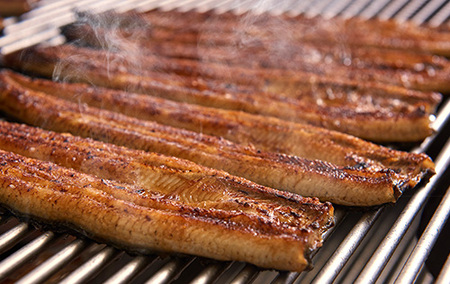 ＜高島屋選定品＞鹿児島県産うなぎ蒲焼じっくり焼き(10尾)(TK-223)59D1802