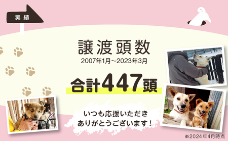 【野犬の保護活動】浜中町「ドッグレスキューしおんの会」を支援　10000円分  NPO法人 動物 犬 返礼品なし_H0039-006